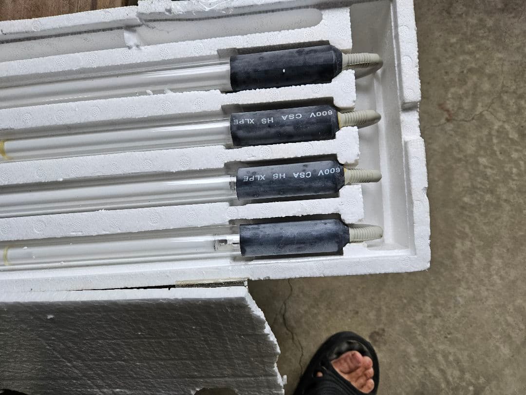 デットストック　アンダーネオン　グリーン