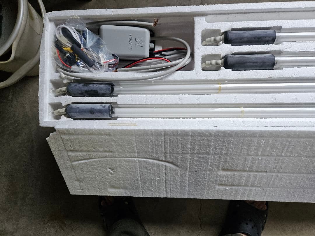 デットストック　アンダーネオン　グリーン