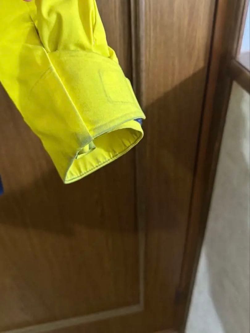 Goldwin スキーウェア メンズ Lサイズ