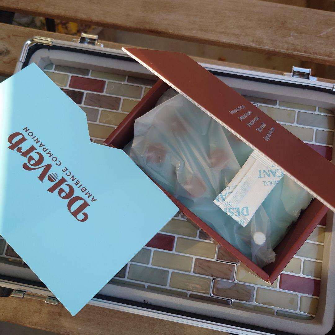 ギター UNIVERSAL AUDIO UAFX DEL-VERB