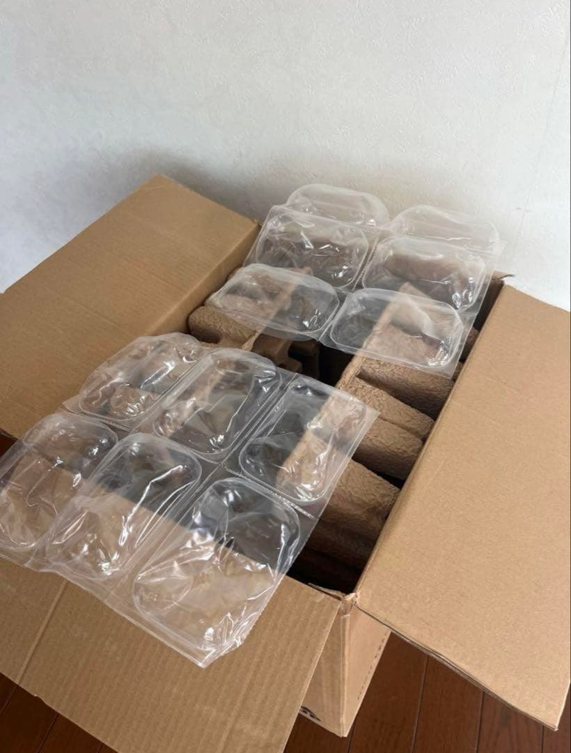 お値下げ！新品未使用VORNADO RTRHD-JP高耐久モデルサーキュレーター