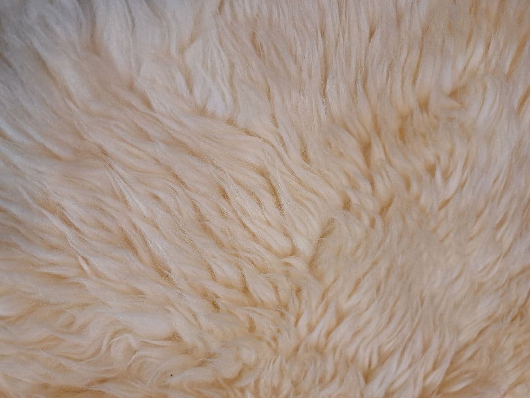 クリーム色 羊毛ラグ 約180cm