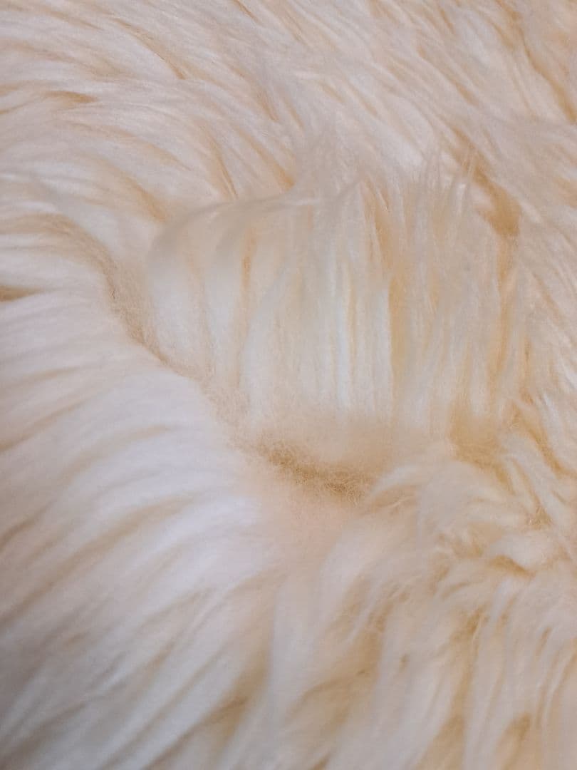 クリーム色 羊毛ラグ 約180cm