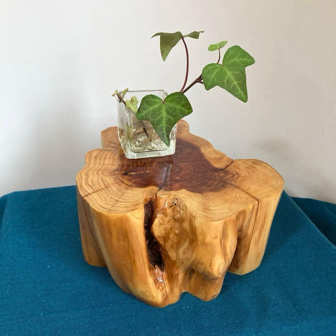 カイヅカイブキ 切り株 天然木 花置き台 フラワースタンド 置物