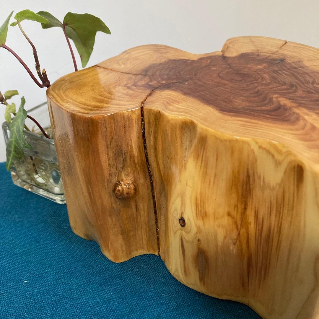 カイヅカイブキ 切り株 天然木 花置き台 フラワースタンド 置物