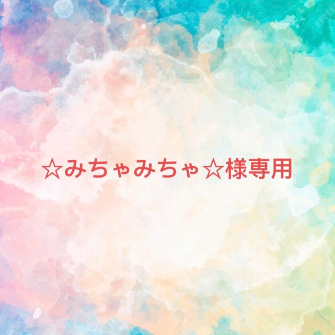 ☆みちゃみちゃ☆様確認専用ページ【取り置き中　12月24日まで】