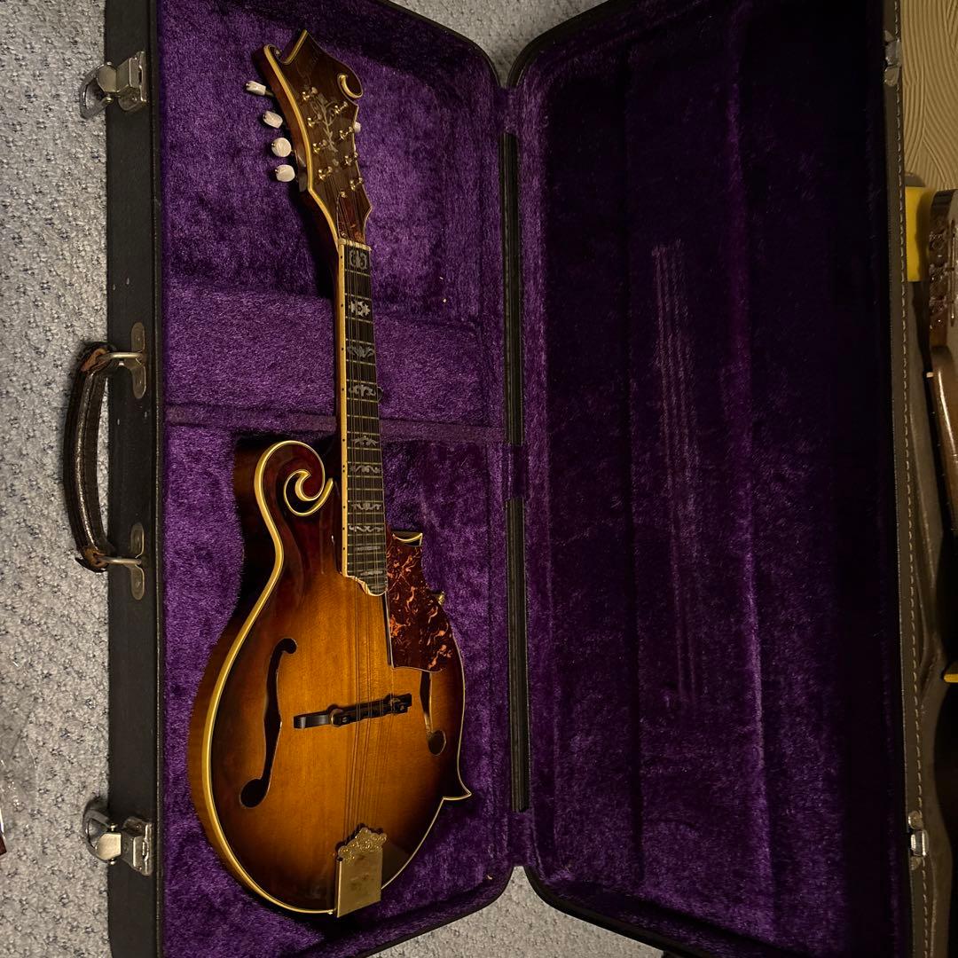 STAFFORD Traditional マンドリン 本体 ハードケース付き Amazon