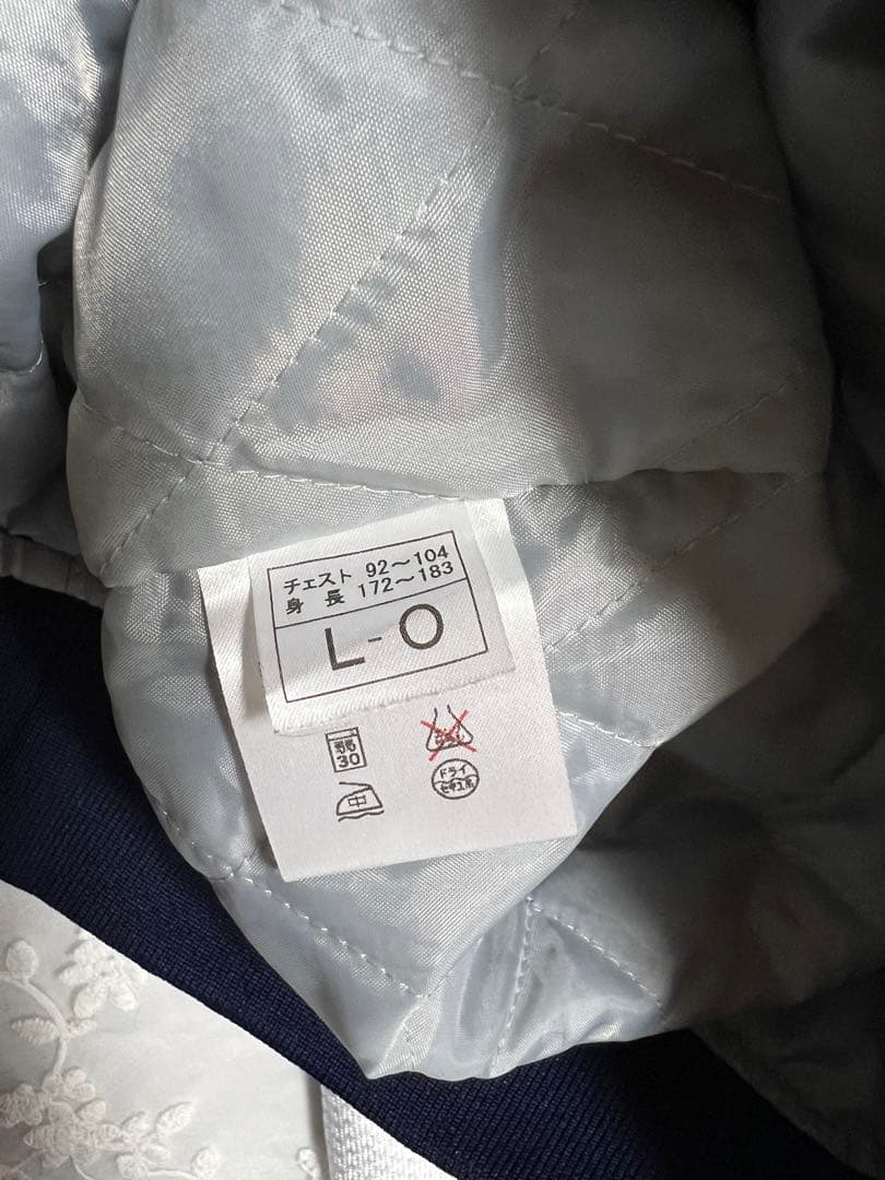 レア【八戸光星学院】硬式野球部　Vジャンのみ