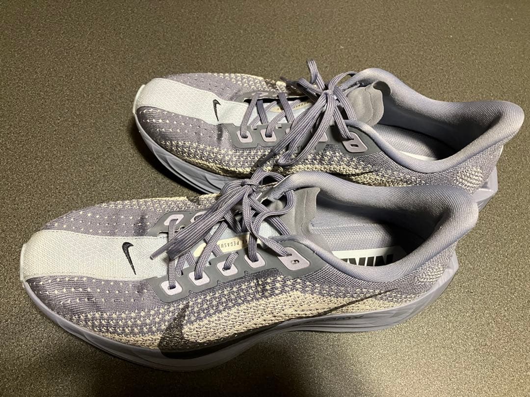 Nike pegasus plus 27.5㎝