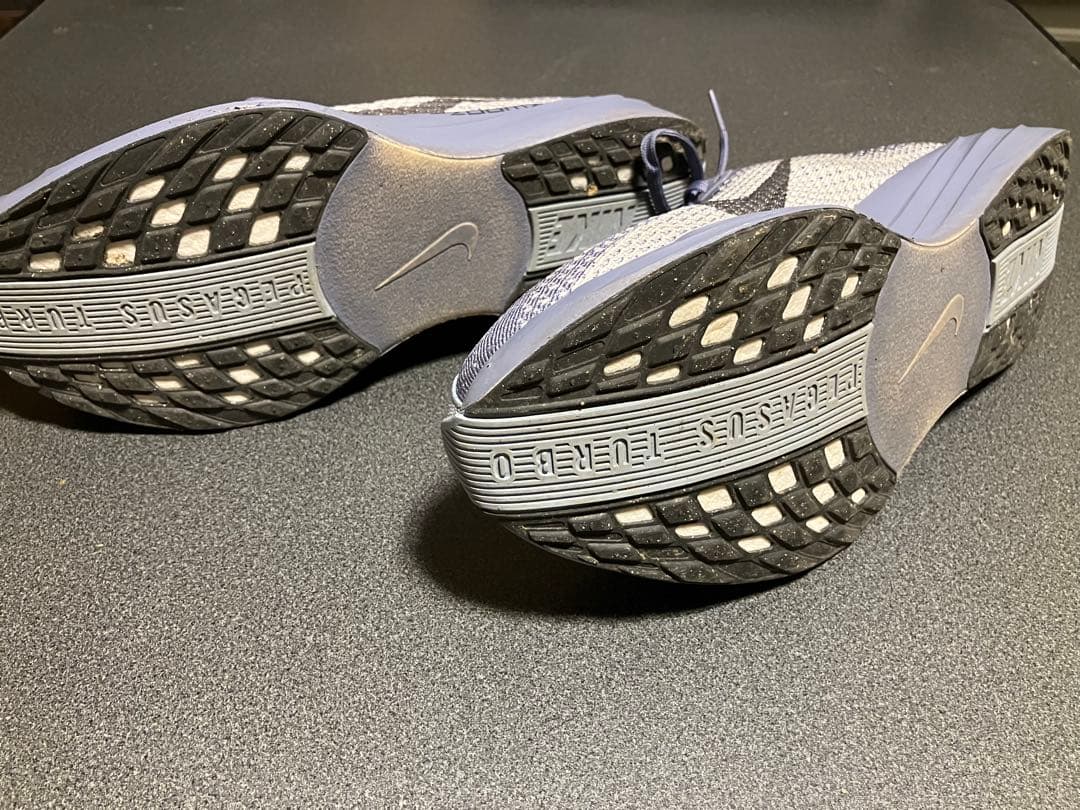 Nike pegasus plus 27.5㎝