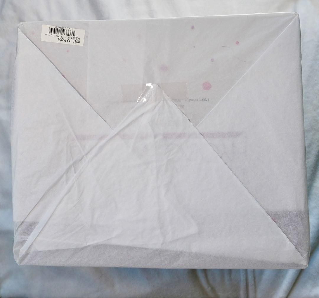 未開封　アルター　氷堂美智留　冴えない彼女の育てかた　ALTER