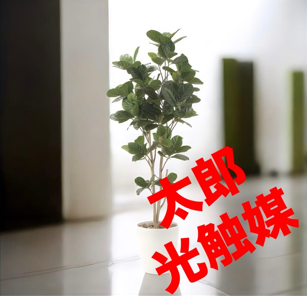 光触媒 光触媒 人工観葉植物 ウォールグリーン フェイクグリーン