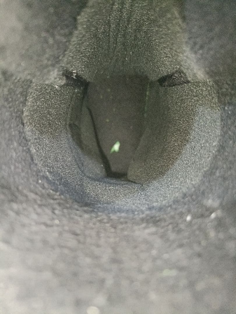 24cm ■BURTON Zipline BOA　ジュニア　キッズ　子供