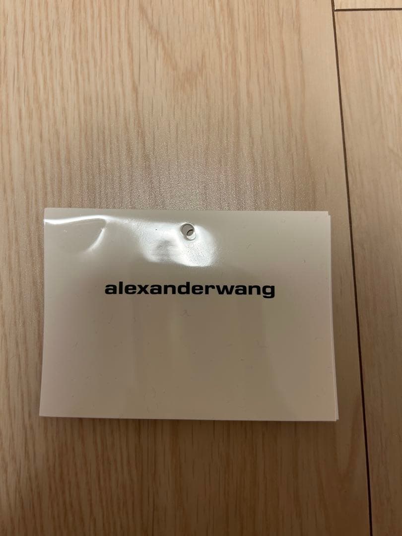 alexander wang ロゴスウェット　登坂広臣着用