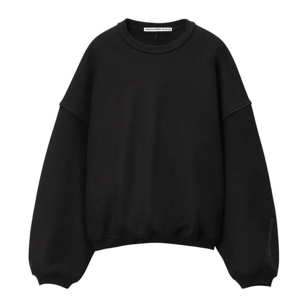 alexander wang ロゴスウェット　登坂広臣着用