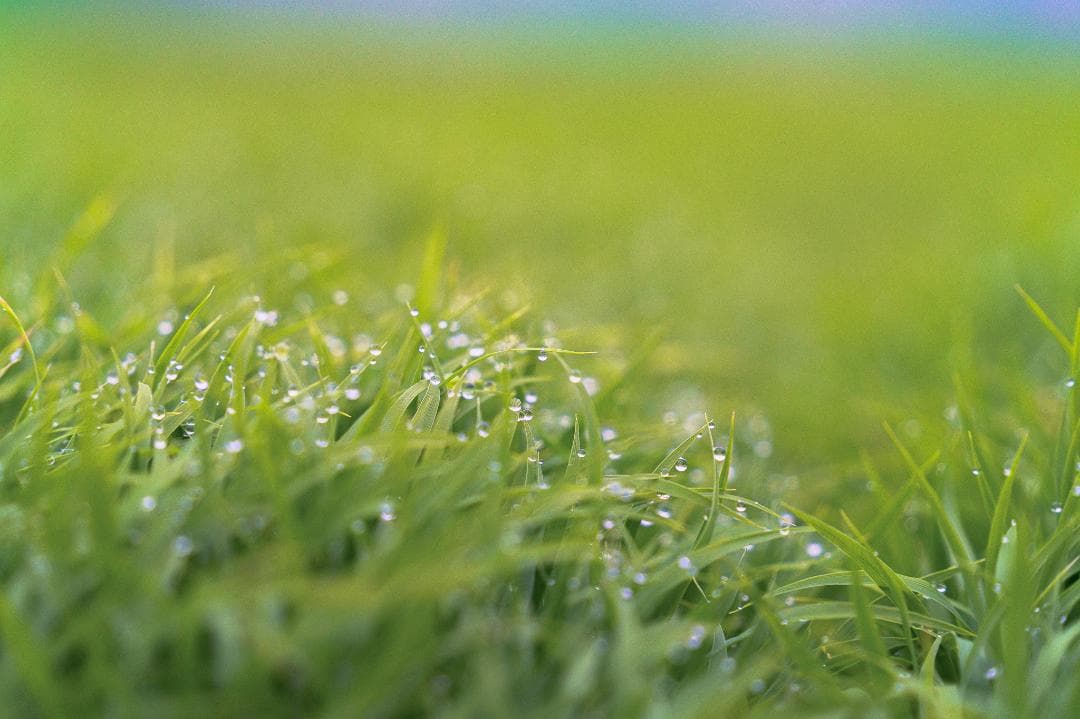 TAMRON 28-200mm F/2.8-5.6 Di III RXD(作例有