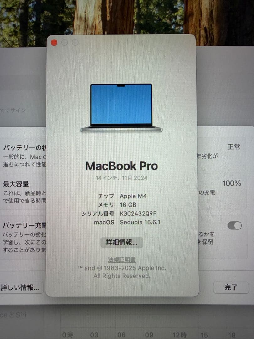 Apple MacBook Pro 14インチ M4 16GB 512GB