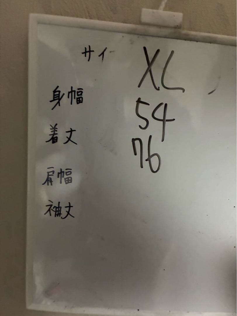 韓国代表 GK ユニフォーム NIKE オーセンティック 新品 2017 XL韓