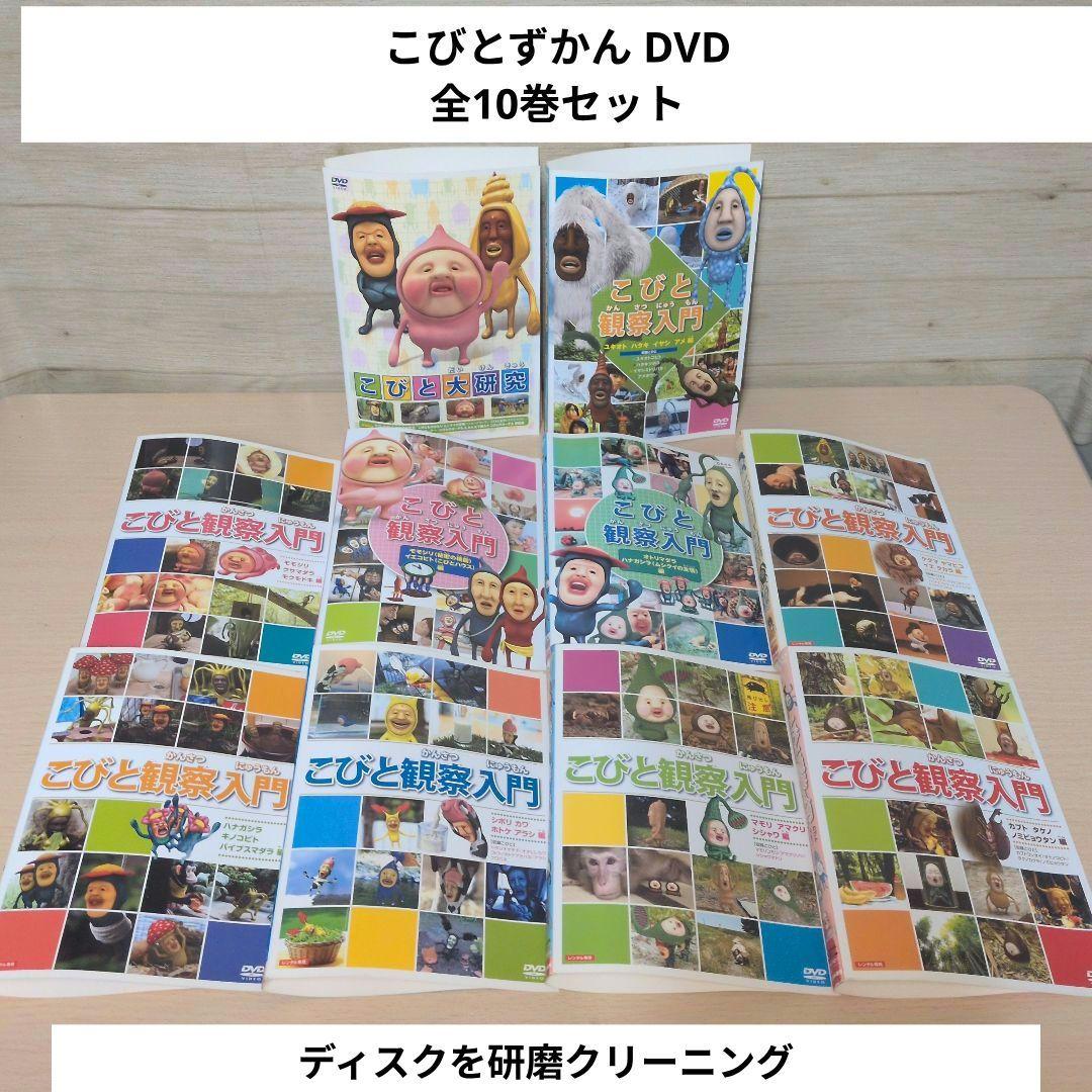 こびとずかん こびと観察入門 DVD 全10巻セット