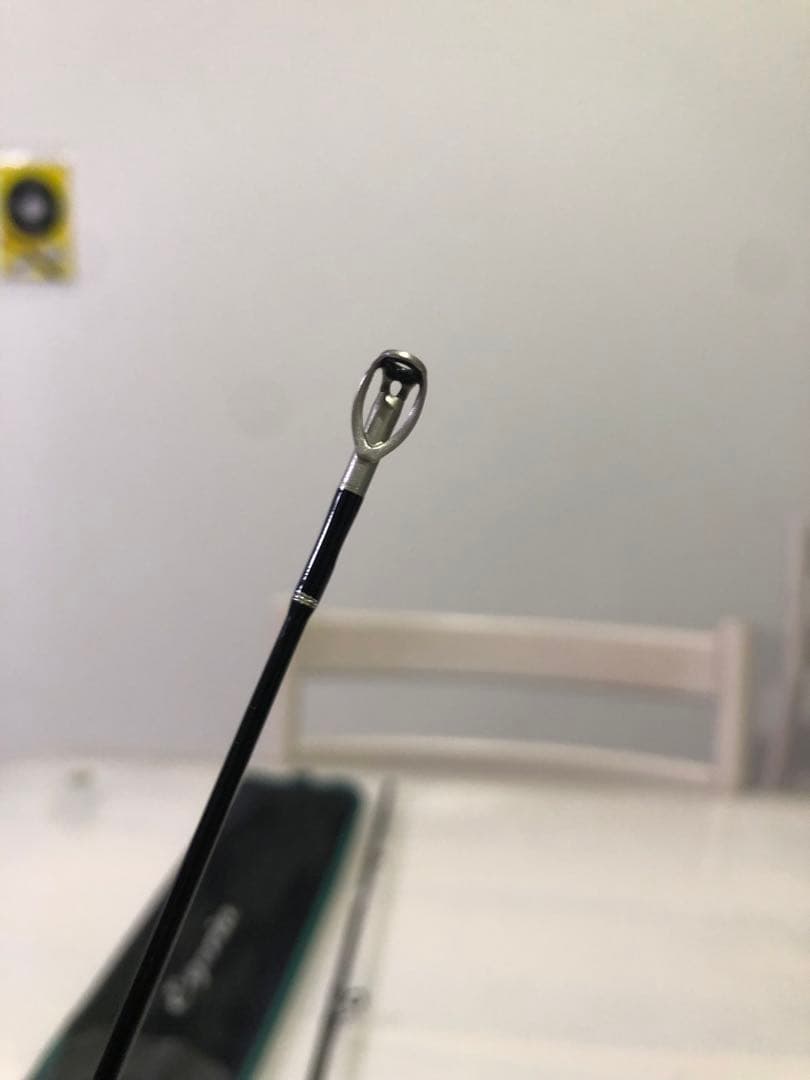 Egeria ETVC-46XUL トラウトロッド パームス