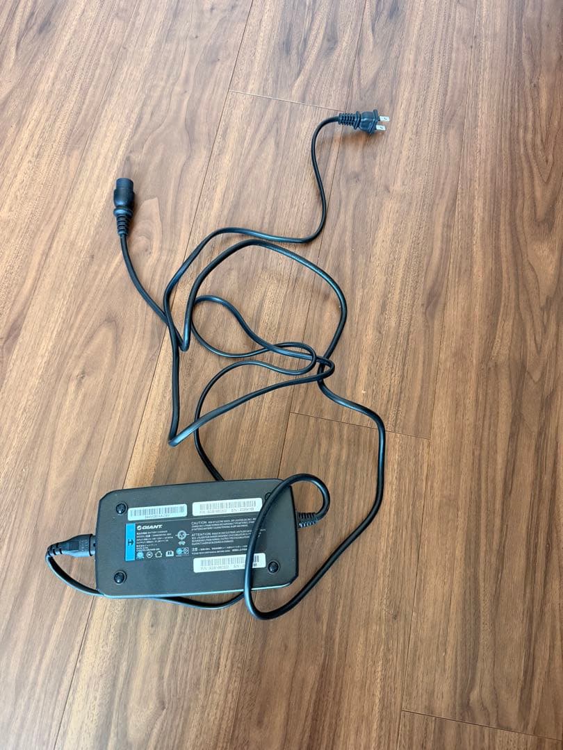 GIANT ESCAPE RX‑E+電動アシスト自転車 スポーツタイプ