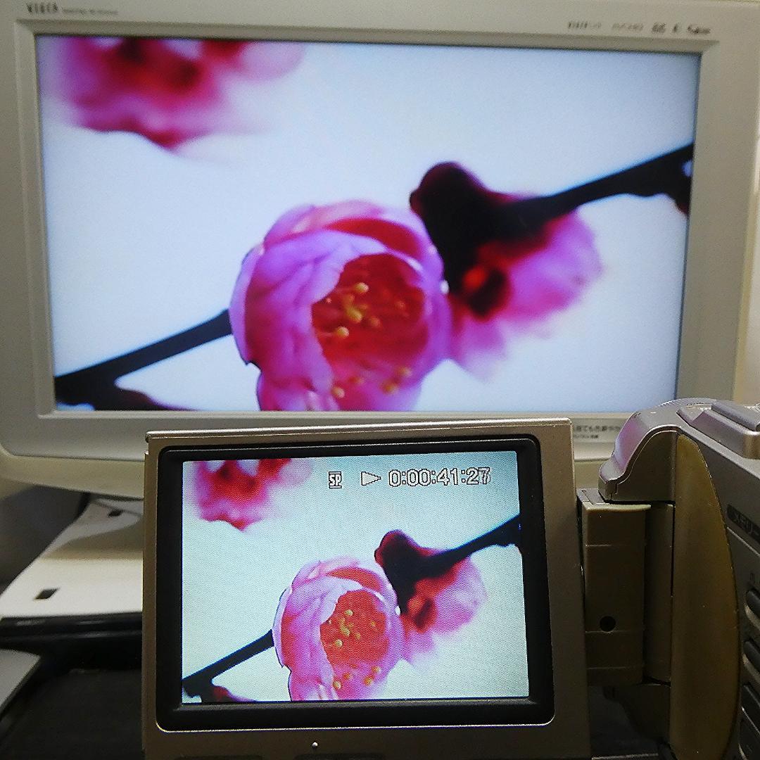 動作品ソニー DCR-TRV10 MiniDVビデオカメラ　DVDダビングに最適