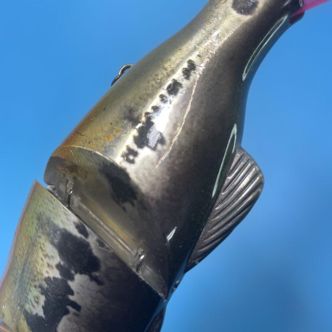 イマカツSG+ バスロイド　シェル廃盤品 SG+バスロイド