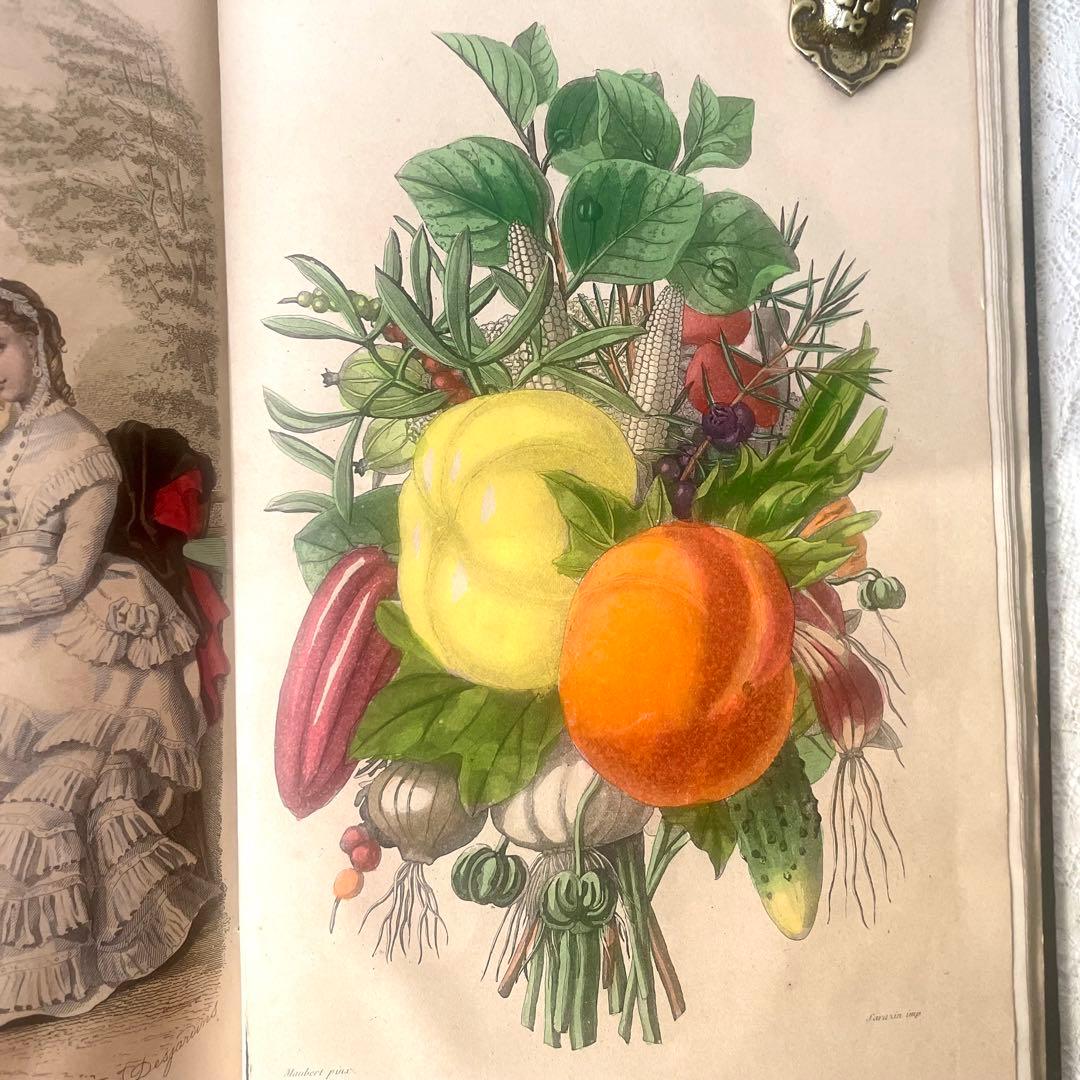 マガジン・デ・ドゥモアゼル1869年　フランスアンティーク　本　古書　彩色銅版画