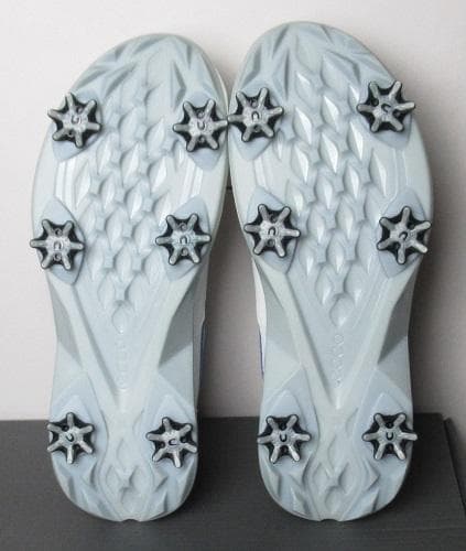 新品 ECCO　BIOM C5 BOA ゴルフシューズ/メンズ/39(24.5)