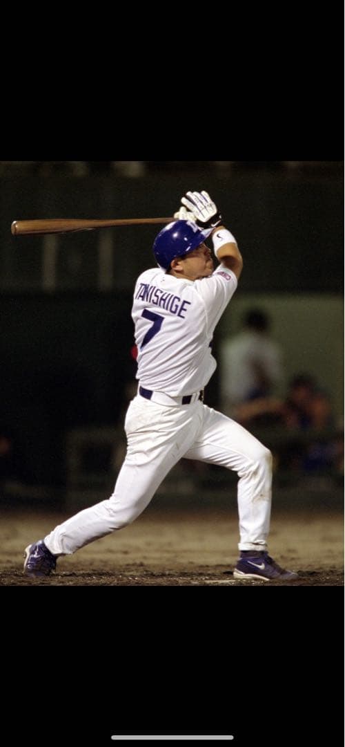 中日　谷繁元信　Nike M. Tanishige 木製バット　実使用