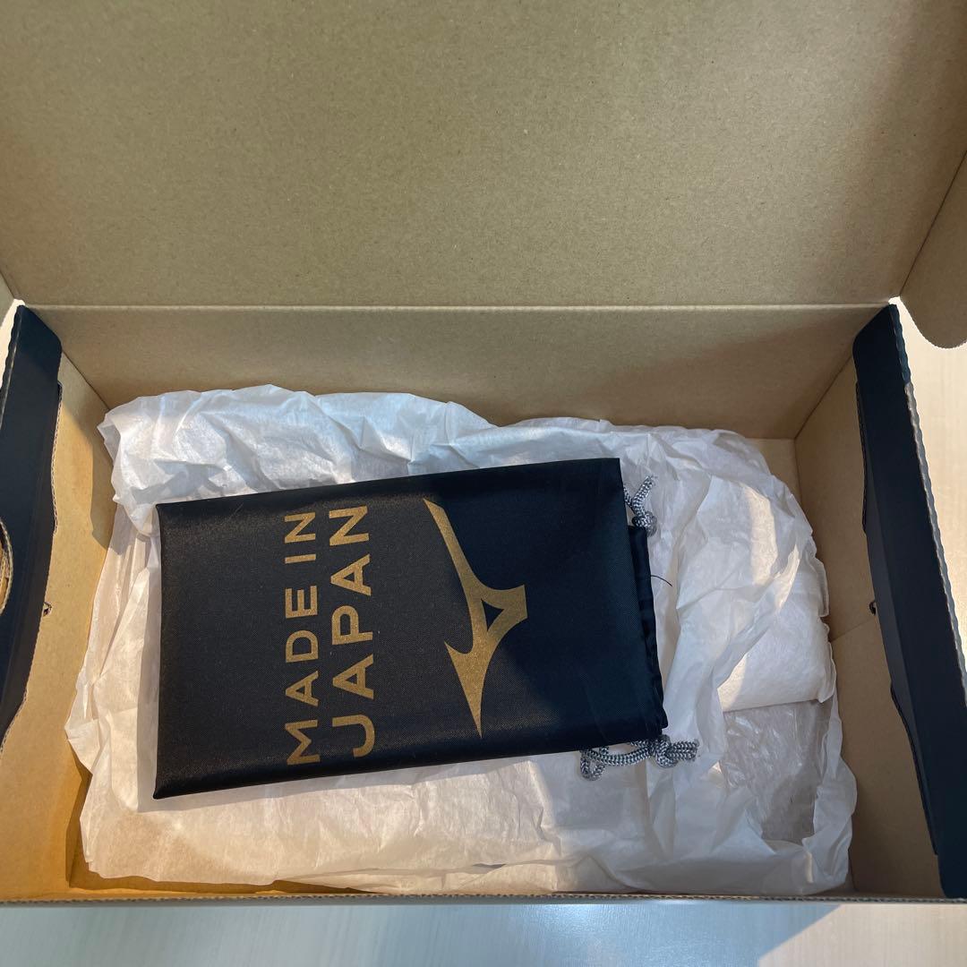 モレリアネオ4 β JAPAN 27.5cm