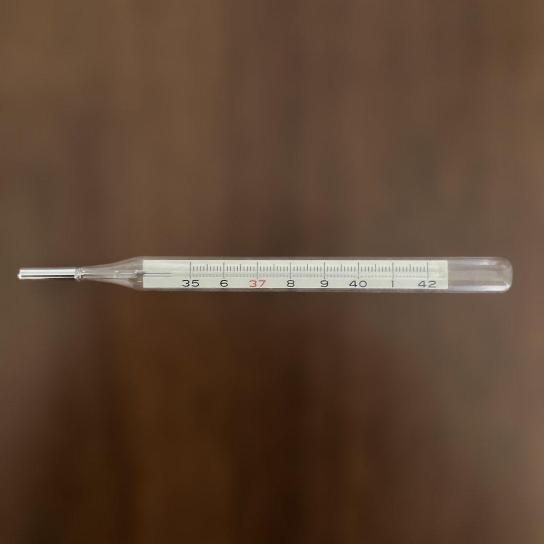 特納用 マツダ体温計（水銀体温計）【昭和レトロ】 - メルカリ