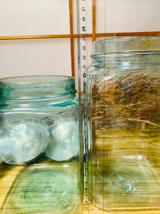 青鬼様専用 レトロ 飴屋瓶 アルミ蓋付 ガラス瓶 気泡ビン アンティーク 3個