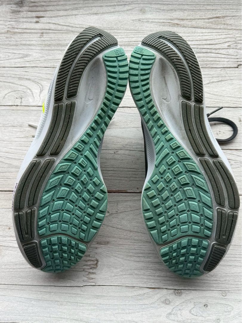 NIKEエア ズーム ペガサス 38 LE(限定カラー) 26.0cm