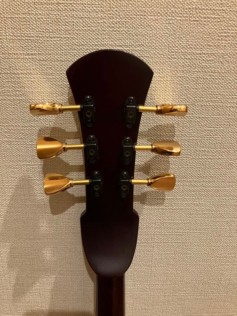 （アーコ）asovivaペグ三線 六弦 アンプ接続可
