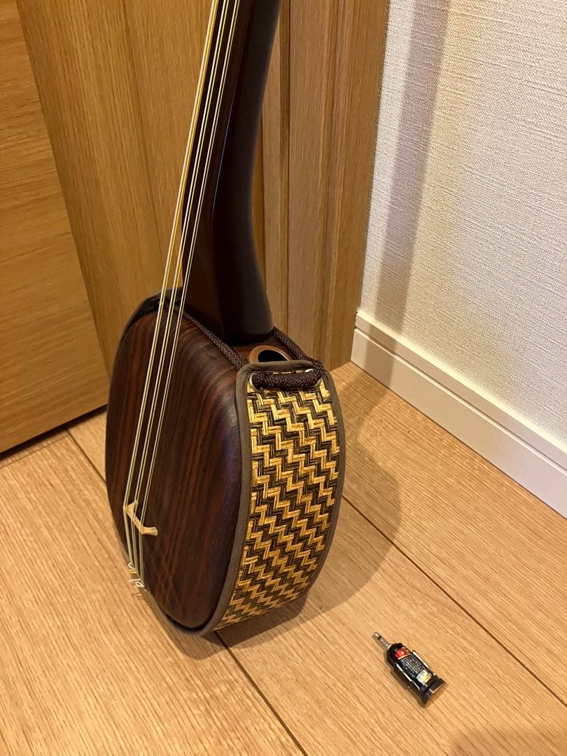 （アーコ）asovivaペグ三線 六弦 アンプ接続可