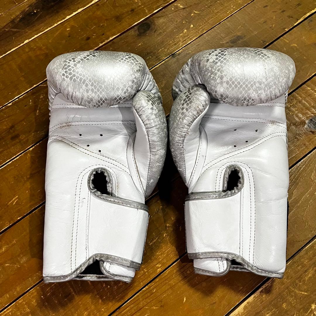 仲 俊光(NFG ) 格闘技トレーニングセット　グローブ　レガース