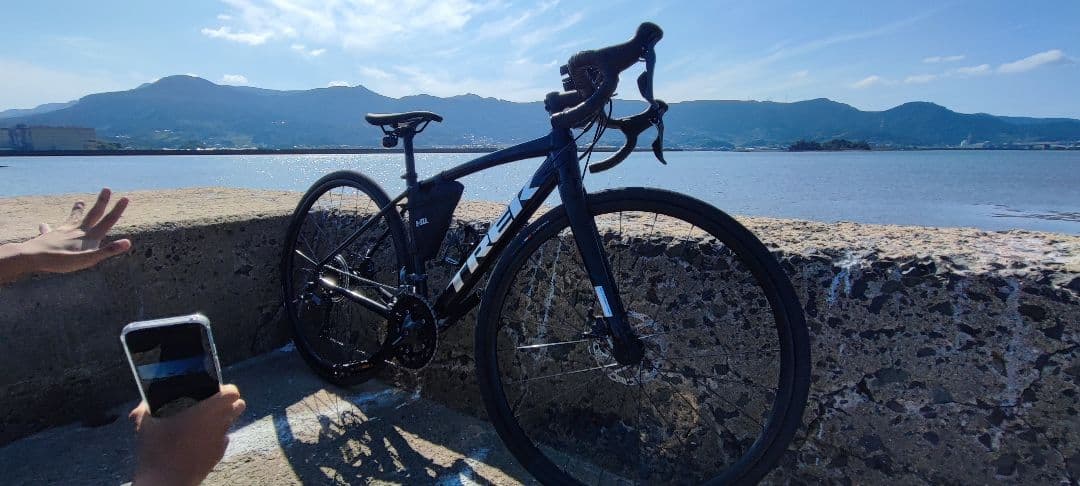 自転車本体 TREK domane al2