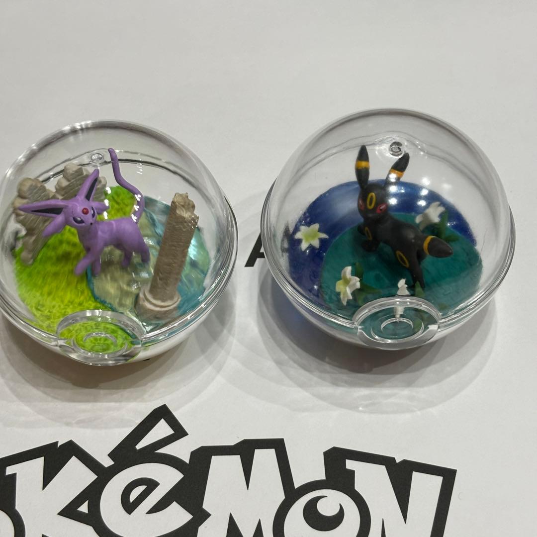 ポケモン テラリウム コレクション フィギュア リーメント ブラッキー