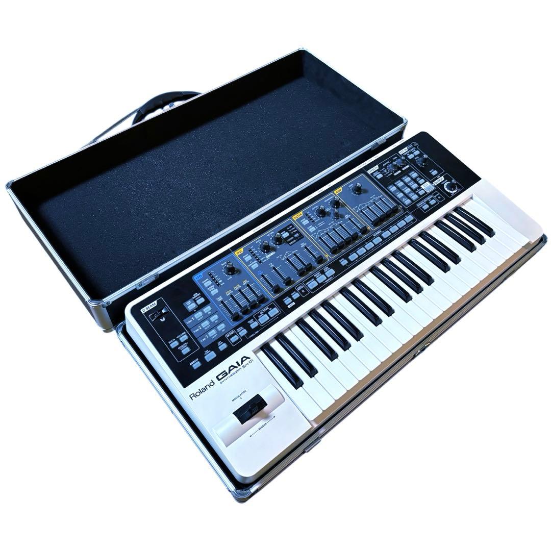 廃盤・美品】ROLAND GAIA SH-01 ハードケース スタンド付き - メルカリ