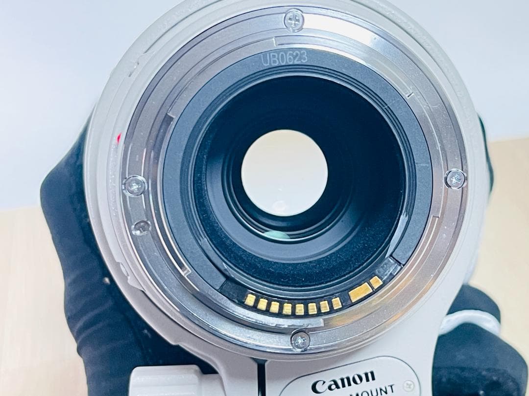 ほぼ新品・動作◎ Canon EF 100-400mm 4.5-5.6 L IS