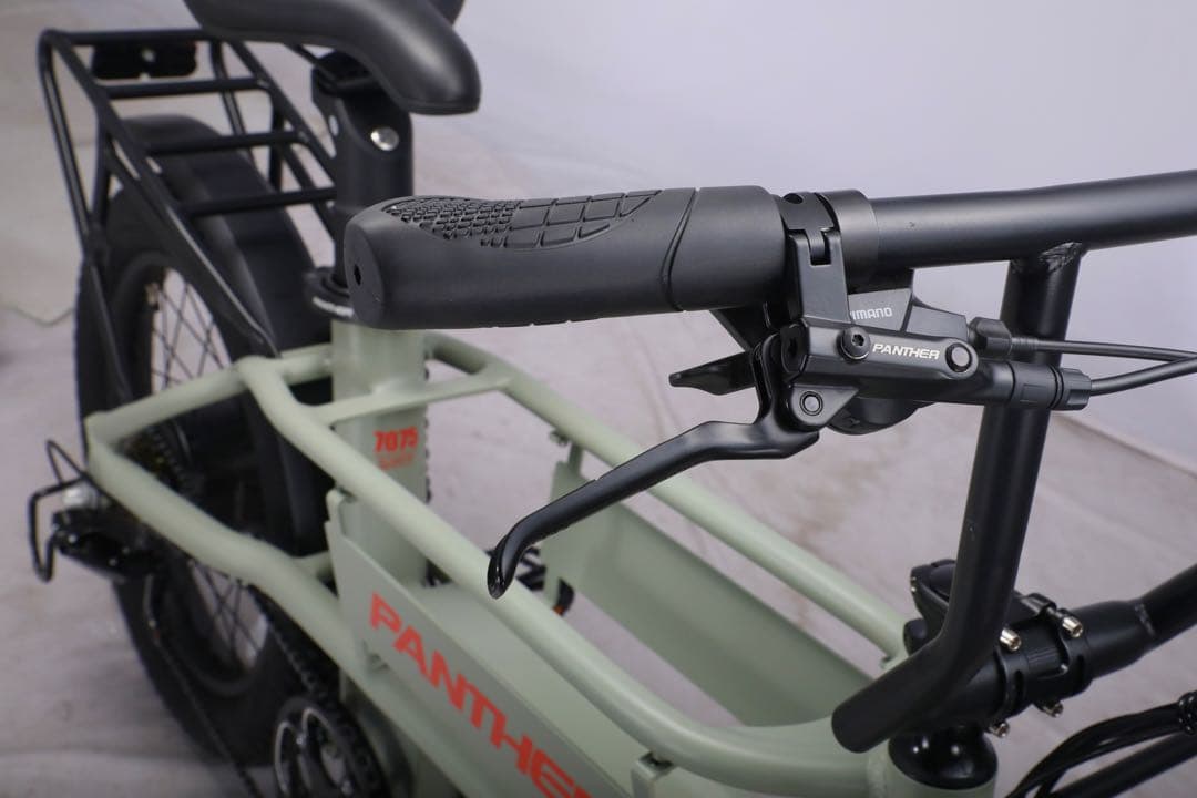 新品】PANTHER 電動アシスト自転車 20インチ ファットタイヤ キャリア