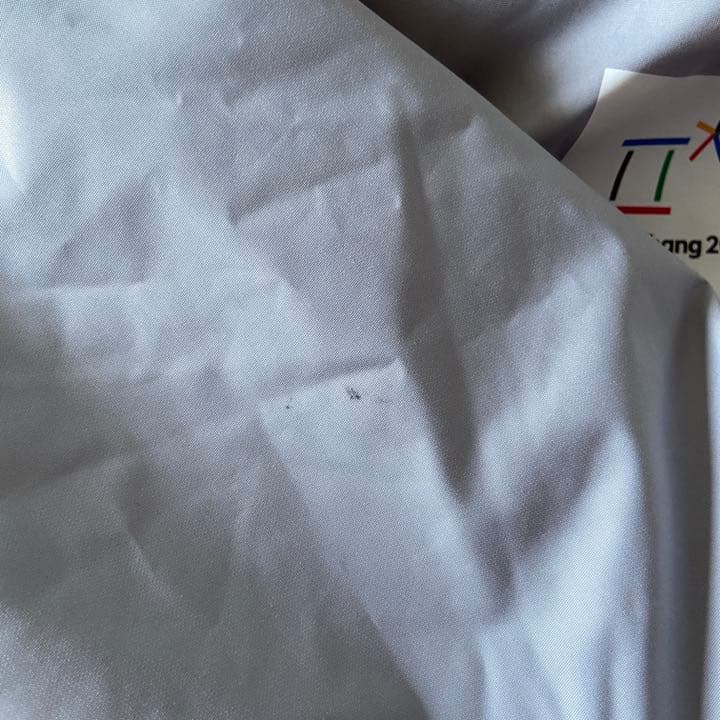 THE NORTH FACE ノースフェイス ジャケット　平昌パラリンピック　L