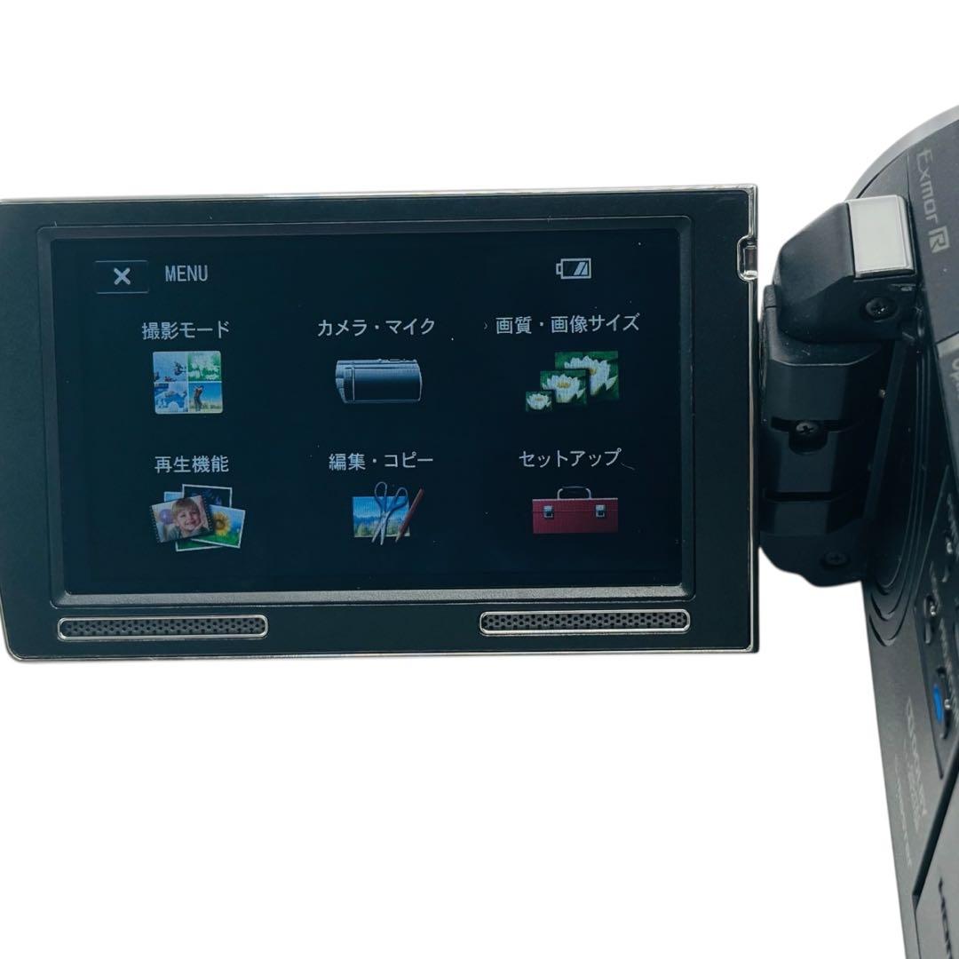 SONY Handycamビデオカメラ HDR-PJ590V バッテリー2個