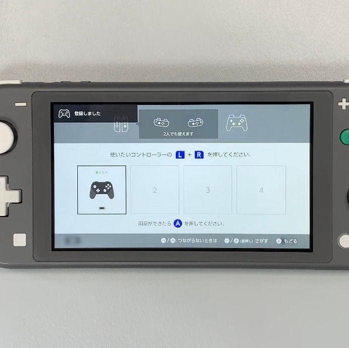 Nintendo Switch Lite 本体 動作品　2021