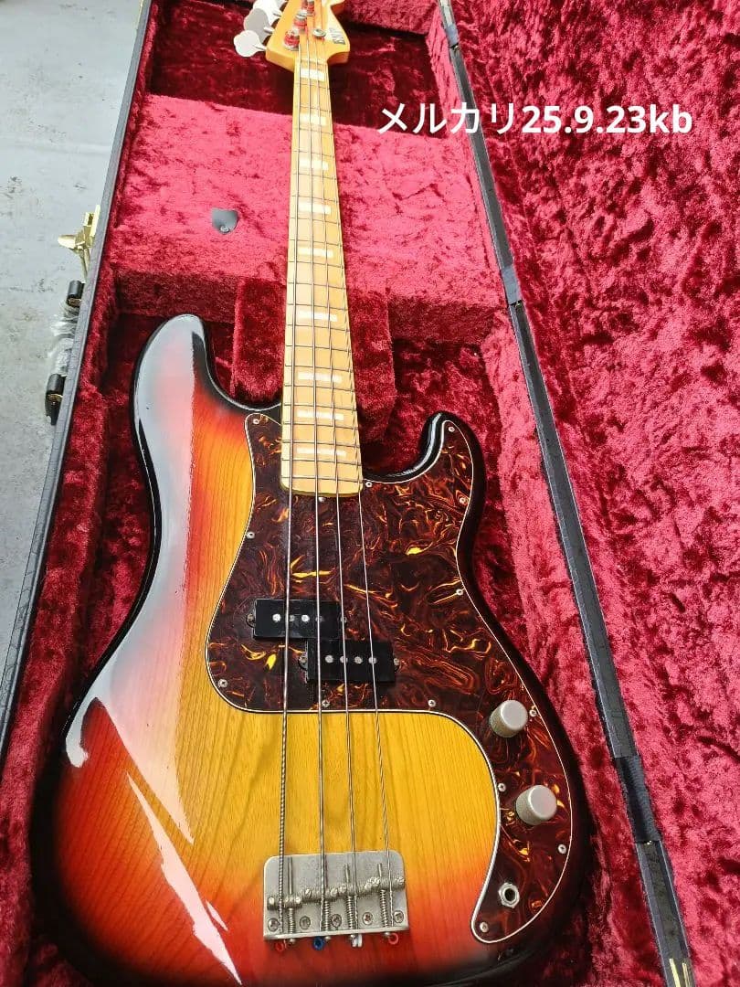 ESP プレシジョンベース　ソフトケース付き