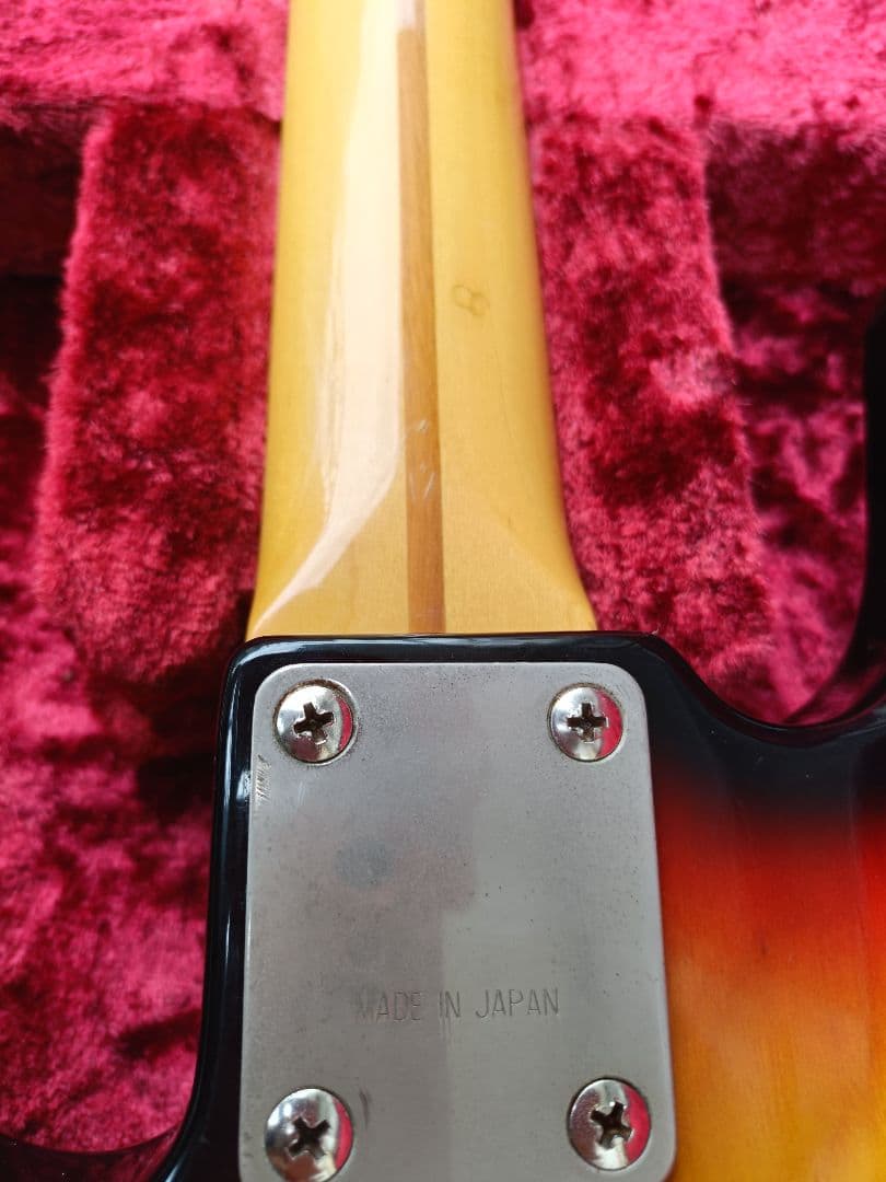 ESP プレシジョンベース　ソフトケース付き