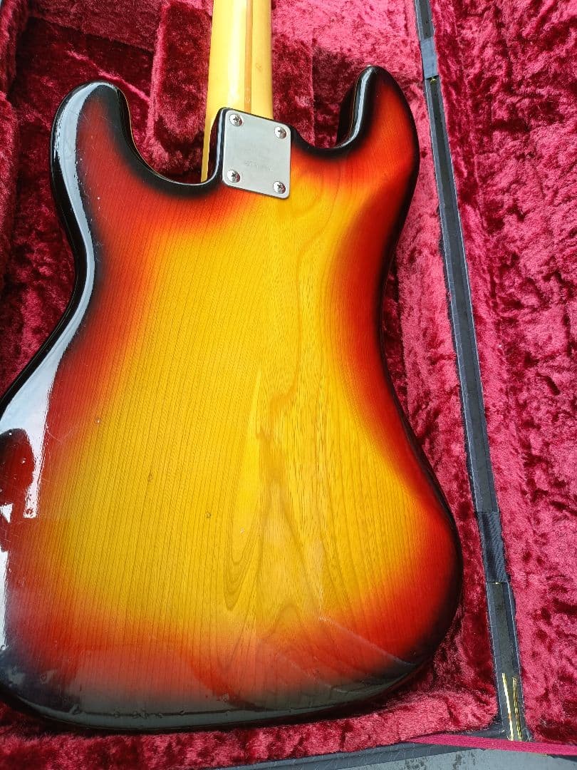 ESP プレシジョンベース　ソフトケース付き