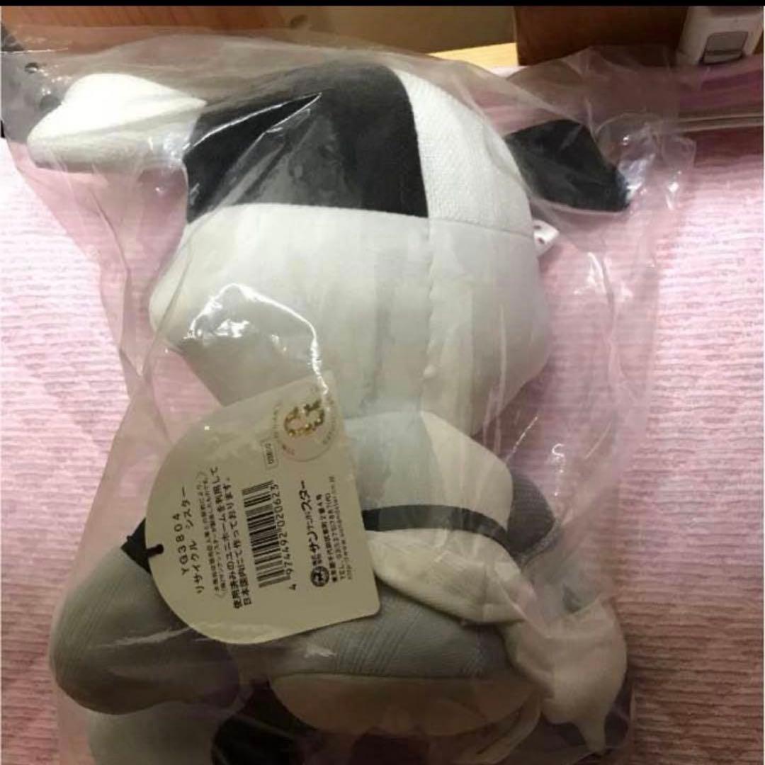 巨人限定600個リサイクルシスター YG3804