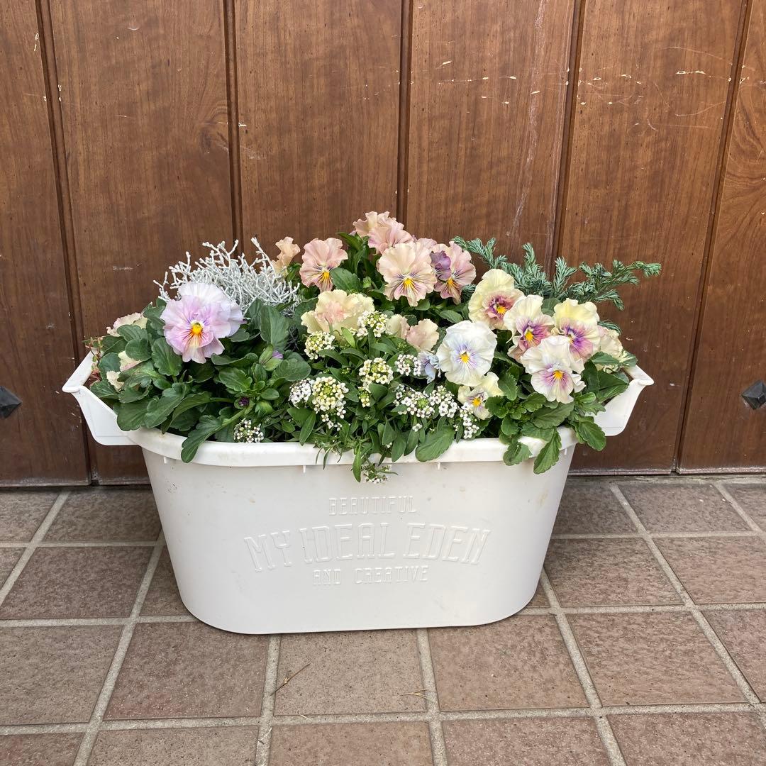 meroron＊mamaです。